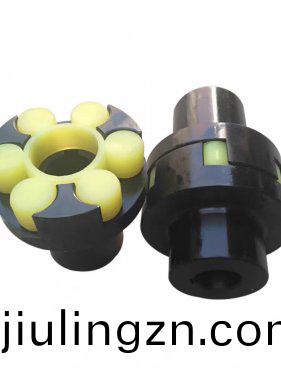槑(mei)蘤(hua)聯(lian)軸(zhou)器