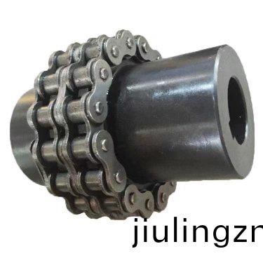 滾(gun)子(zi)鏈聯(lian)軸器